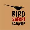 Bird Safari Camp Re-Opens